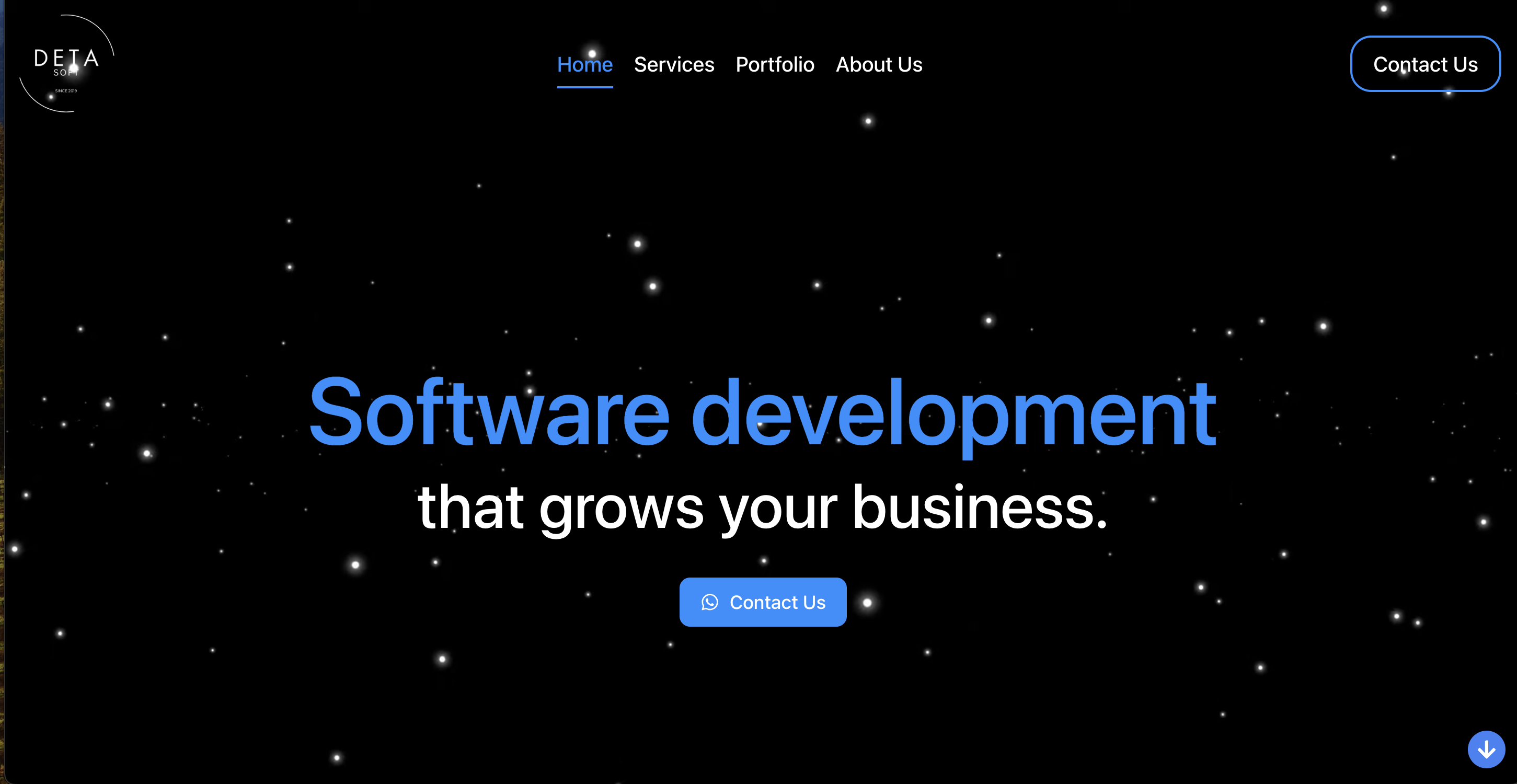 Software Company Website